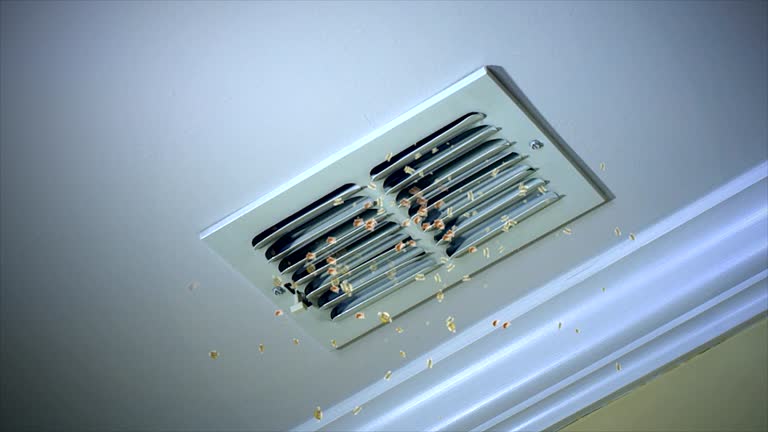 Best Residential Air Duct Cleaning  in Cosmopolis, WA