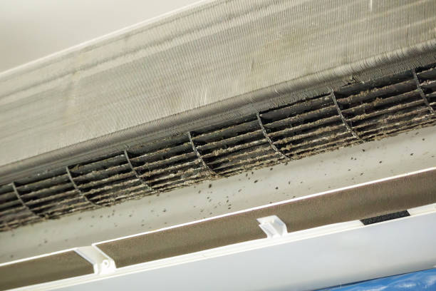 Best Air Duct Cleaning Near Me  in Cosmopolis, WA
